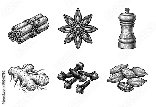 Aromatic culinary spices and herbs collection in vintage monochrome woodcut engraving style