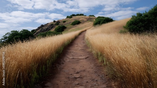 A dirt path meanders up a sun drenched hillside covered in golden grasses beneath a partly cloudy sky