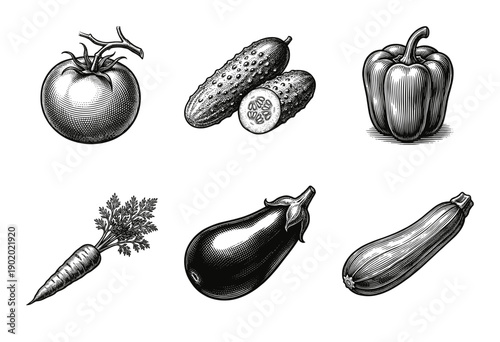 Vintage woodcut illustration collection of fresh garden vegetables including tomato cucumber bell pepper carrot eggplant and zucchini