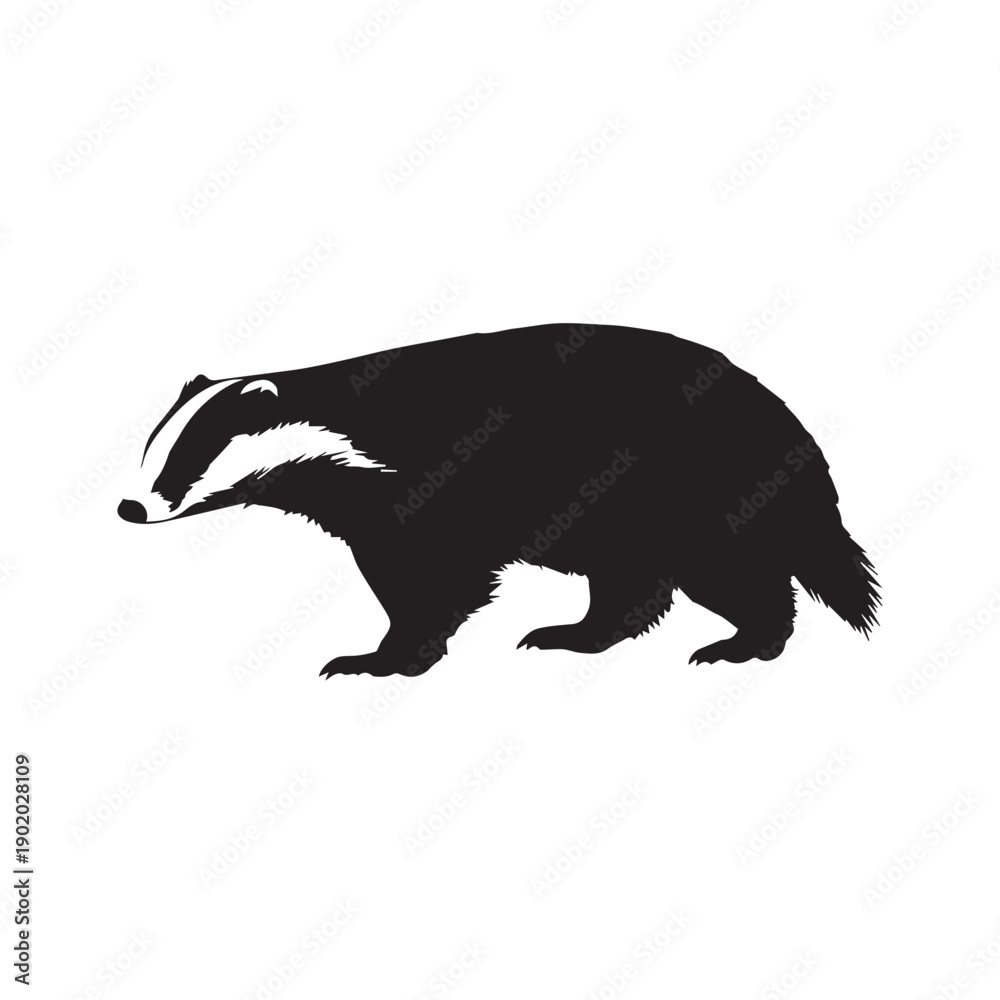 Obraz premium Vector image of badger silhouette on white background.