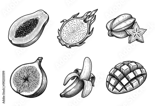 Set of hand drawn tropical fruit illustrations featuring papaya dragonfruit starfruit fig banana and mango in vintage woodcut engraving style