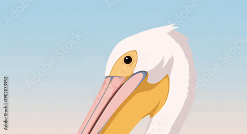 Close-up of a white pelican's head against a soft blue sky