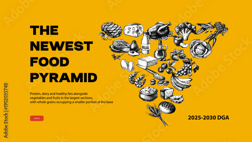 New food pyramid. US dietary guideline for 2025-2030. Sketch vintage elements in triangle shape frame. Health and nutritional education design poster. Hand drawn vector illustration.