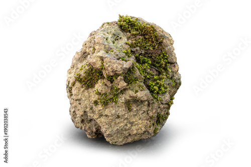 Close-up macro photo of a beautifull volcanic rock with moss on it from Iceland on white background