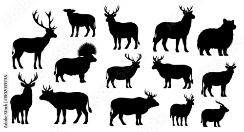 Collection of Deer Silhouettes Various Poses and Antlers.