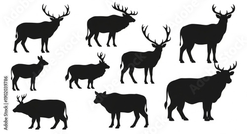 Collection of Deer Silhouettes with Antlers.
