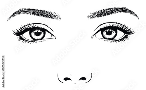 Detailed drawing of a pair of human eyes, eyebrows, and the upper part of the nose ideal for use in instructional guides, anatomical studies, or expressive visual media projects.