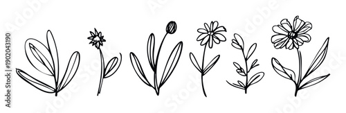 Simple handdrawn botanical line art collection featuring various flowers and leaves, perfect for natureinspired graphic resources and contemporary decoration projects.