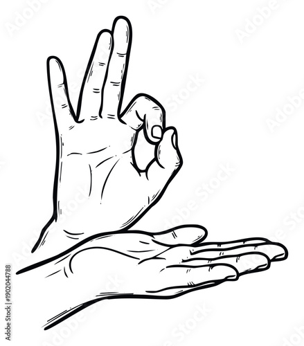 Dynamic twohand line drawing featuring an affirmative or OK gesture combined with an open receiving palm, suitable for illustrating ideas of acceptance, giving, receiving, success, or