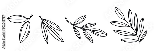 Elegant botanical line art depicting various leaf branches and sprigs perfect for natural minimalist decorations stationery designs and branding elements