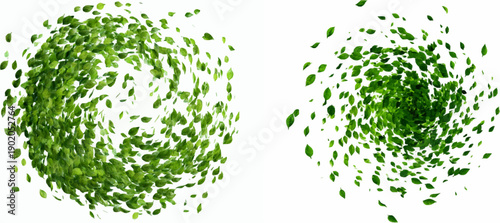 Vitality in Motion: A Circular Whirl of Green Leaves