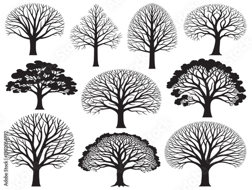 Bare tree outline collection with rustic seasonal mood
