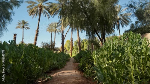 AlUla, Saudi Arabia – Peaceful Desert Oasis With Palm Groves, Green Gardens, Scenic Nature Landscapes