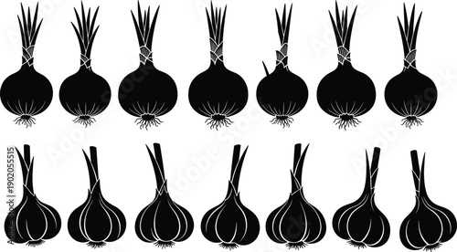 Onion and garlic vegetable silhouettes collection isolated on white background, fresh organic food icons set for farming, agriculture, cooking and healthy nutrition designs