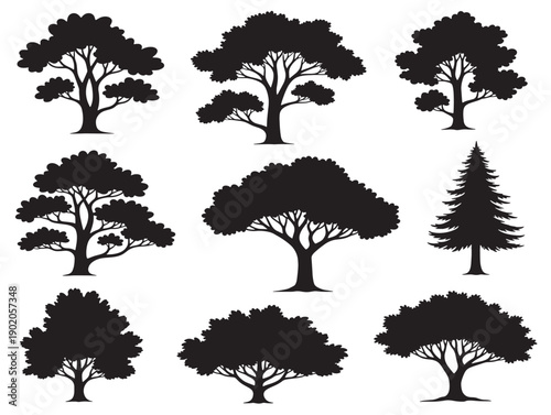 Rural forest tree pattern with countryside atmosphere