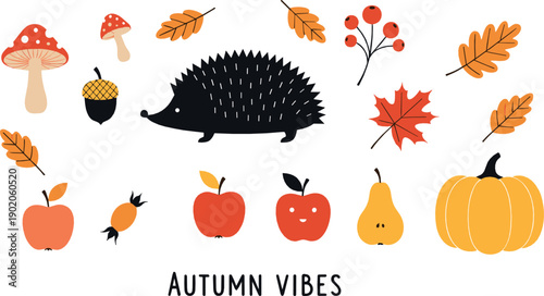 Autumn illustration set with hedgehog pumpkin apples pears mushrooms acorns and falling leaves in warm flat style for seasonal fall design projects