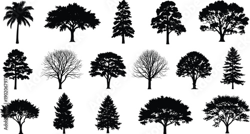 Set of black and white tree silhouettes in various shapes and sizes trees