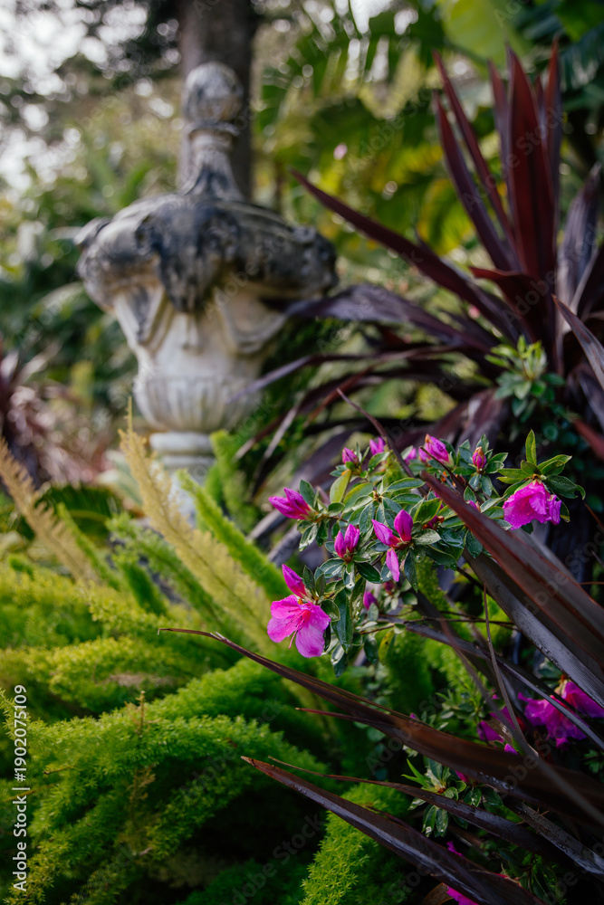 Fototapeta premium Lush greenery with tropical plants in a garden. 