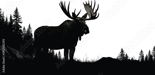 Moose silhouette standing on a hill isolated on transparent background