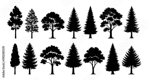 A collection of black silhouettes of various types of trees, including deciduous and coniferous species, arranged in two rows against a white background.