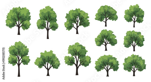 Collection of various green deciduous trees with detailed foliage and trunks, presented against a white background.