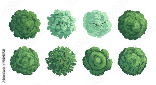 Top-down view of eight distinct green trees, showcasing varied textures and shapes for architectural or landscape design.