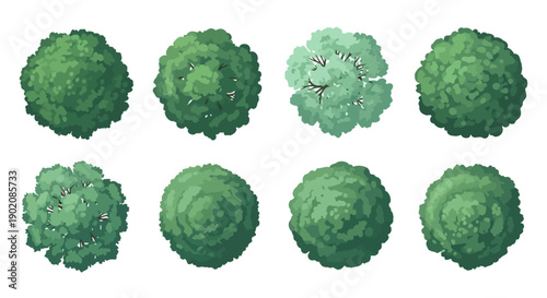 A collection of eight distinct top-down views of various green trees, showcasing different textures and foliage patterns.