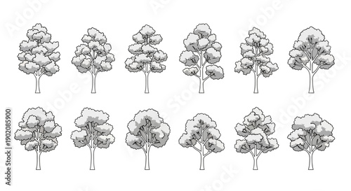 A collection of twelve detailed, hand-drawn illustrations of deciduous trees in various forms and sizes, presented in two rows against a white background.