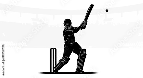 Cricket player in action hitting ball with bat
