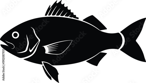silhouette black sea bass fish side view marine animal vector design