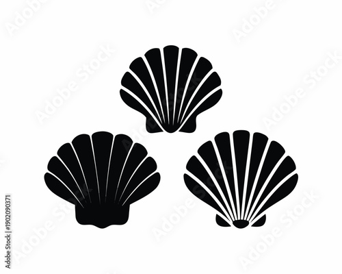 Tropical Seashells Silhouette Vector, Beach and Ocean Art