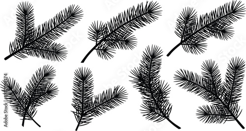 Black coniferous tree branch silhouette vector illustration, pine fir needle foliage design elements, natural evergreen forest art decoration patterns