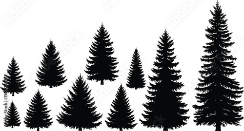 Black evergreen tree silhouette vector illustration collection, diverse forest pine shapes, natural woodland design elements, seasonal landscape art patterns