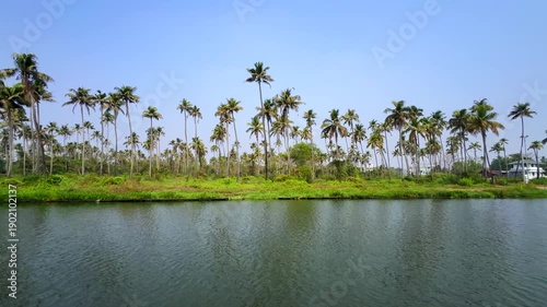 Serene Kerala backwaters landscape with lush coconut palms, calm waters and tranquil tropical landscape in Kerala, India