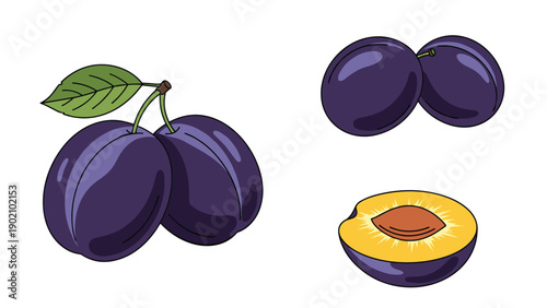 Fresh purple plums illustration including a whole fruit with a leaf, a pair, and a half fruit showing the pit.