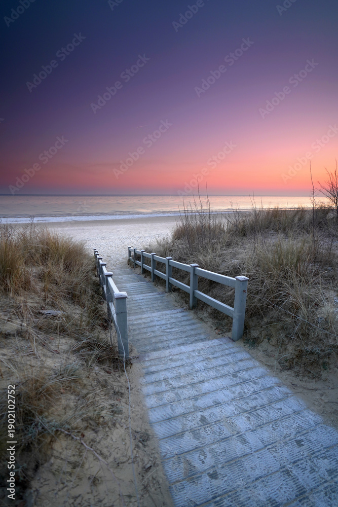 Fototapeta premium lonely path through the dune landscape by the sea in the sunrise light