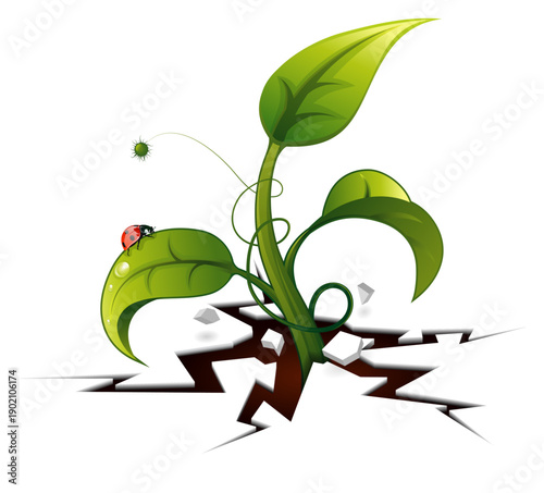 Green Sprout from Crack