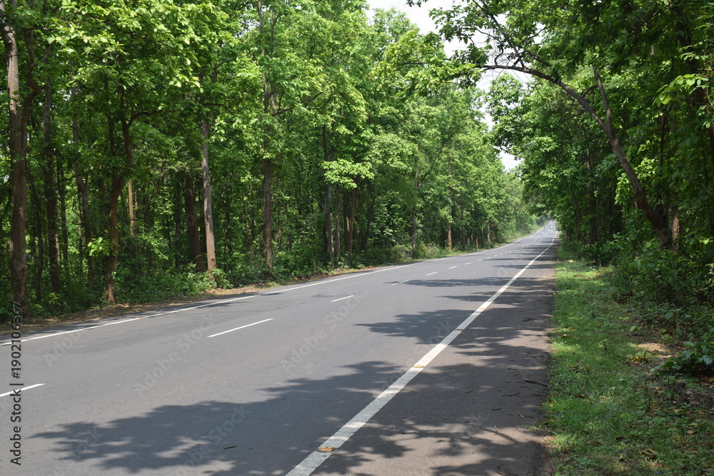 Obraz premium Empty Asphalt Road Through Green Forest Landscape