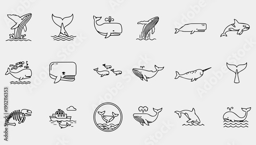 A set of black line icons depicting various whale and dolphin illustrations on a gray background with simple designs.