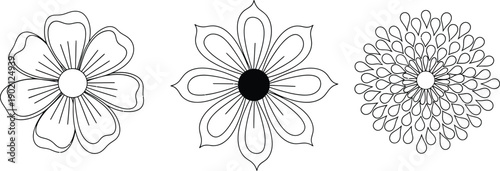 Decorative floral elements and petal patterns in outline style