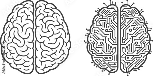 Brain versus Machine Conceptual Line Art Illustrating Human Mind and Artificial Intelligence Circuitry and Thought