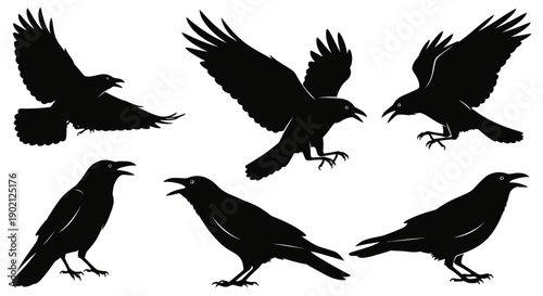 A collection of six black silhouette illustrations of crows in various poses, some flying and some perched.