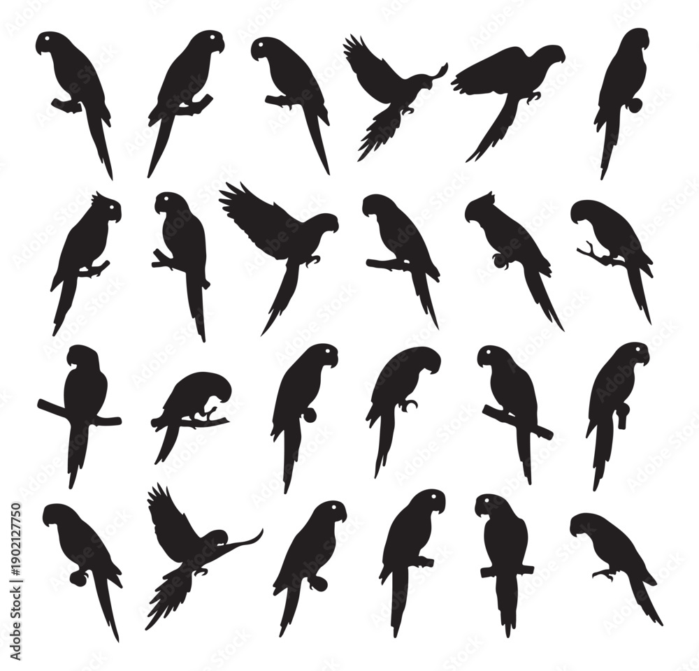 Fototapeta premium Bird Silhouette Vector, Flying Birds Clipart, Parrot Silhouette PNG, Black Bird Icons, Nature Wildlife Graphics, Bird Outline Design, Tropical Birds Set