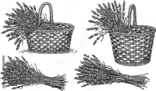 wicker basket with lavender bunches hand drawn dried flower bouquet illustration set
