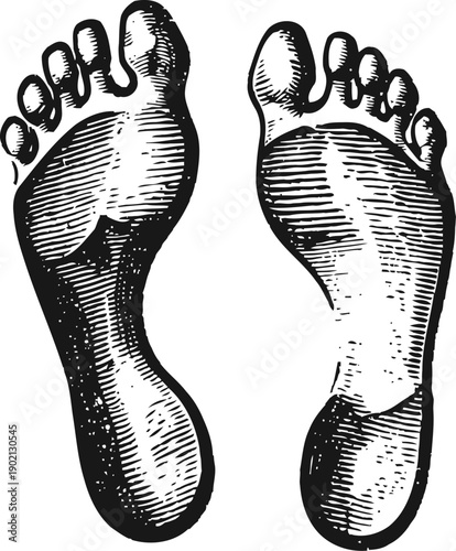 Illustration of human footprints with detailed textured lines and shading, black and white anatomy art