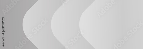 white background. luxury background. vector