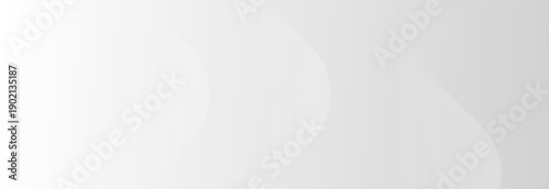 white background. luxury background. vector