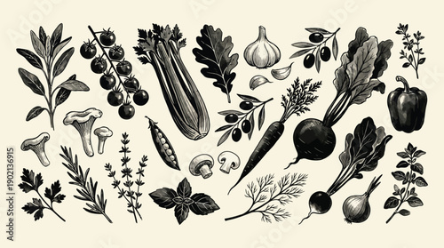 Black Stamp Vegetables Set with Retro Woodcut Engraved Farm Food Icons, Organic Healthy Products Including Tomato, Onion, Garlic, Celery, and Pepper, Vector Vegetable Sketch Collection
