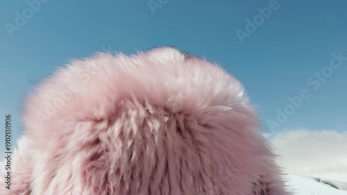 A soft, textured, pink surface dominates the lower section of the image, contrasting against a clear blue sky background