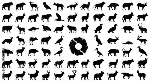 A comprehensive collection of diverse animal silhouettes, showcasing a wide variety of species in profile view.